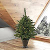 Vickerman 3.5' Cashmere Christmas Tree with LED Lights Image 2