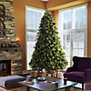 Vickerman 3.5' Cashmere Pine Artificial Christmas Tree, Multi-Colored Dura-Lit&#174; Lights Image 1