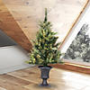 Vickerman 3.5' Cashmere Pine Christmas Tree with Clear Lights Image 4