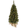 Vickerman 3.5' Felton Pine Christmas Tree with Clear Lights Image 1