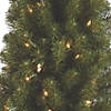Vickerman 3.5' Felton Pine Christmas Tree with Clear Lights Image 1