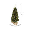 Vickerman 3.5' Felton Pine Christmas Tree with Clear Lights Image 2