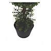 Vickerman 3' Artificial Double Ball Green Boxwood Topiary in Pot - UV Resistant Image 3