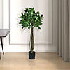 Vickerman 3' Artificial Potted Bay Leaf Topiary Image 1