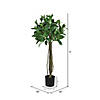 Vickerman 3' Artificial Potted Bay Leaf Topiary Image 2