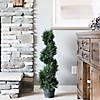 Vickerman 3' Artificial Potted Green Cedar Spiral Tree Image 1