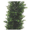 Vickerman 3' Artificial Potted Green Cedar Tree - UV Resistant Image 1
