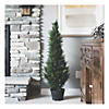 Vickerman 3' Artificial Potted Green Cedar Tree - UV Resistant Image 3