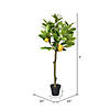 Vickerman 3' Artificial Potted Lemon Tree Image 2