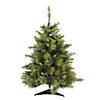 Vickerman 3' Cashmere Pine Christmas Tree - Unlit Image 1