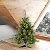 Vickerman 3' Cashmere Pine Christmas Tree - Unlit Image 2