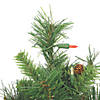 Vickerman 3' Cheyenne Pine Christmas Tree with Multi-Colored LED Lights Image 1