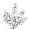Vickerman 3' Flocked Gifford Slim Potted Pine Artificial Christmas Tree, Warm White Dura-lit LED Lights Image 1