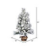 Vickerman 3' Frosted Beacon Pine Artificial Christmas Tree Image 1