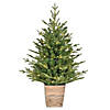 Vickerman 3' Gibson Slim Potted Pine Artificial Christmas Tree, Warm White Dura-lit LED Lights Image 1