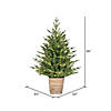 Vickerman 3' Gibson Slim Potted Pine Artificial Christmas Tree, Warm White Dura-lit LED Lights Image 2