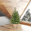 Vickerman 3' Gibson Slim Potted Pine Artificial Christmas Tree, Warm White Dura-lit LED Lights Image 3