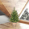 Vickerman 3' Gibson Slim Potted Pine Artificial Christmas Tree, Warm White Dura-lit LED Lights Image 4