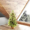 Vickerman 3' Jasper Pine Artificial Christmas Tree Image 2