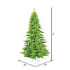 Vickerman 3' Lime Fir Artificial Christmas Tree, Unlit Image 1