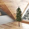 Vickerman 3' Mixed Country Alpine Artificial Christmas Tree, Unlit Image 2