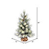 Vickerman 3' Norfolk Frosted Pine Artificial Christmas Tree Image 1