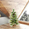 Vickerman 3' Ridgeville Pine Artificial Christmas Tree, Unlit Image 2