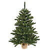 Vickerman 30" Anoka Pine Christmas Tree - Unlit Image 1