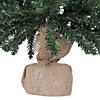Vickerman 30" Anoka Pine Christmas Tree - Unlit Image 1