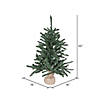 Vickerman 30" Anoka Pine Christmas Tree - Unlit Image 2