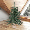 Vickerman 30" Anoka Pine Christmas Tree - Unlit Image 3
