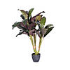 Vickerman 30" Artificial Real Touch Dracaena Image 1