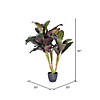 Vickerman 30" Artificial Real Touch Dracaena Image 2