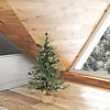 Vickerman 30" Carmel Pine Christmas Tree with Clear Lights Image 3
