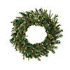 Vickerman 30" Cashmere Artificial Christmas Wreath, Unlit Image 1