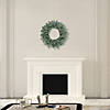 Vickerman 30" Colorado Blue Spruce Artificial Christmas Wreath, Clear Dura-lit Incandescent Lights Image 3