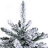Vickerman 30" Flocked Anoka Pine Artificial Christmas Tree, Unlit Image 2