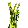 Vickerman 30" Spring Green Amaranthus Bundle, Preserved Image 3
