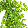Vickerman 31" Artificial Green Mini Leaf Hanging Bush - 2/pk Image 1