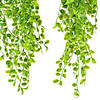 Vickerman 31" Artificial Green Mini Leaf Hanging Bush - 2/pk Image 2