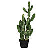 Vickerman 31" Artificial Green Potted Cactus Image 1