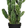 Vickerman 31" Artificial Green Potted Cactus Image 1