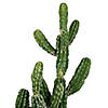 Vickerman 31" Artificial Green Potted Cactus Image 2