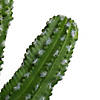 Vickerman 31" Artificial Green Potted Cactus Image 3
