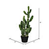 Vickerman 31" Artificial Green Potted Cactus Image 4