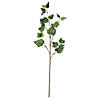 Vickerman 32" Artificial Green Ivy Spray - 3/pk Image 1