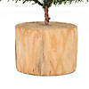 Vickerman 32" Carmel Pine Artificial Christmas Tree, Unlit Image 3
