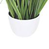 Vickerman 32" Green Potted Bamboo and Grass Image 3