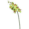 Vickerman 35" Green Real Touch Orchid Artificial Floral Stem Image 1