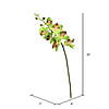 Vickerman 35" Green Real Touch Orchid Artificial Floral Stem Image 2